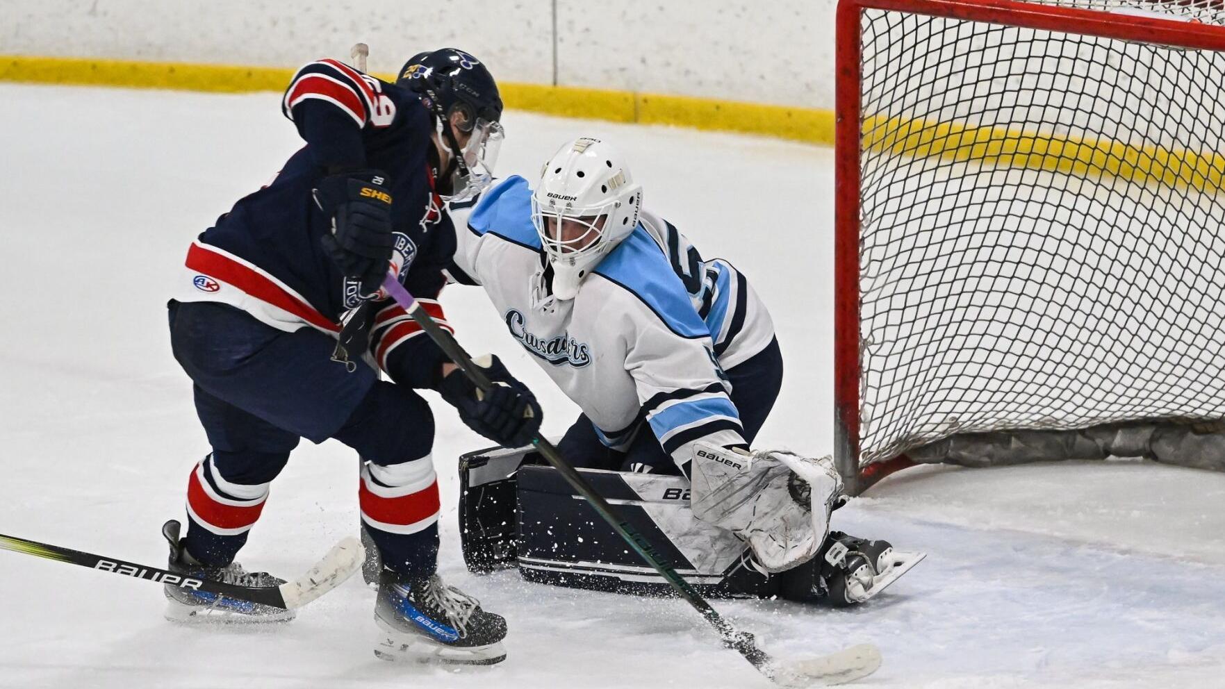 Trey Wilson stays on a tear with third hat trick to lead Liberty over St. Dominic